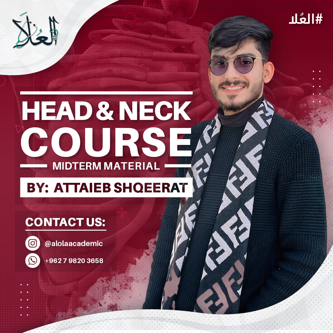 photos/courses/72/Attieb Shqeerat.png